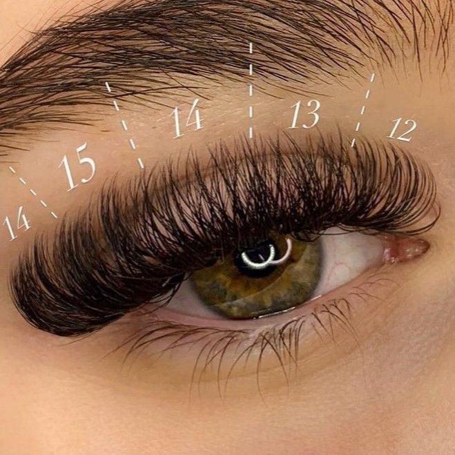 ONLINE Lash Training